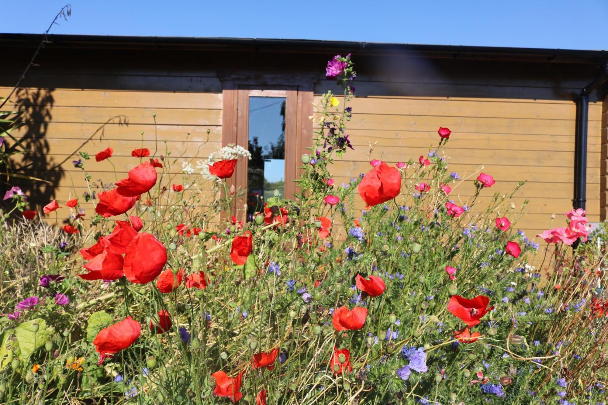 The Cabin Pipershill Newtownbutler المظهر الخارجي الصورة